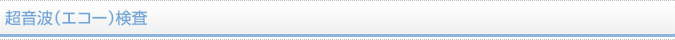 超音波（エコー）検査