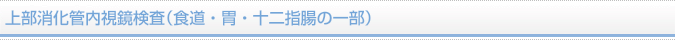 上部消化管内視鏡検査（食道・胃・十二指腸の一部）
